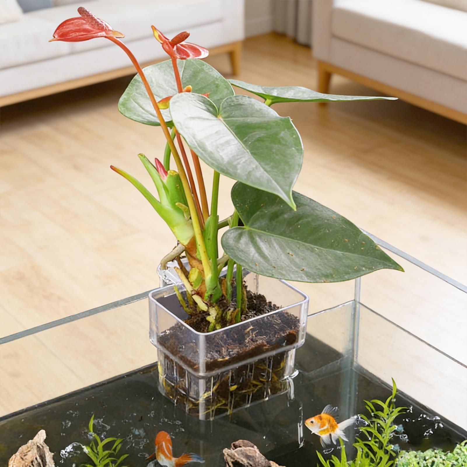 Aquarium Plant Design - Aquarium Plant Basket Transparent Fish Tank