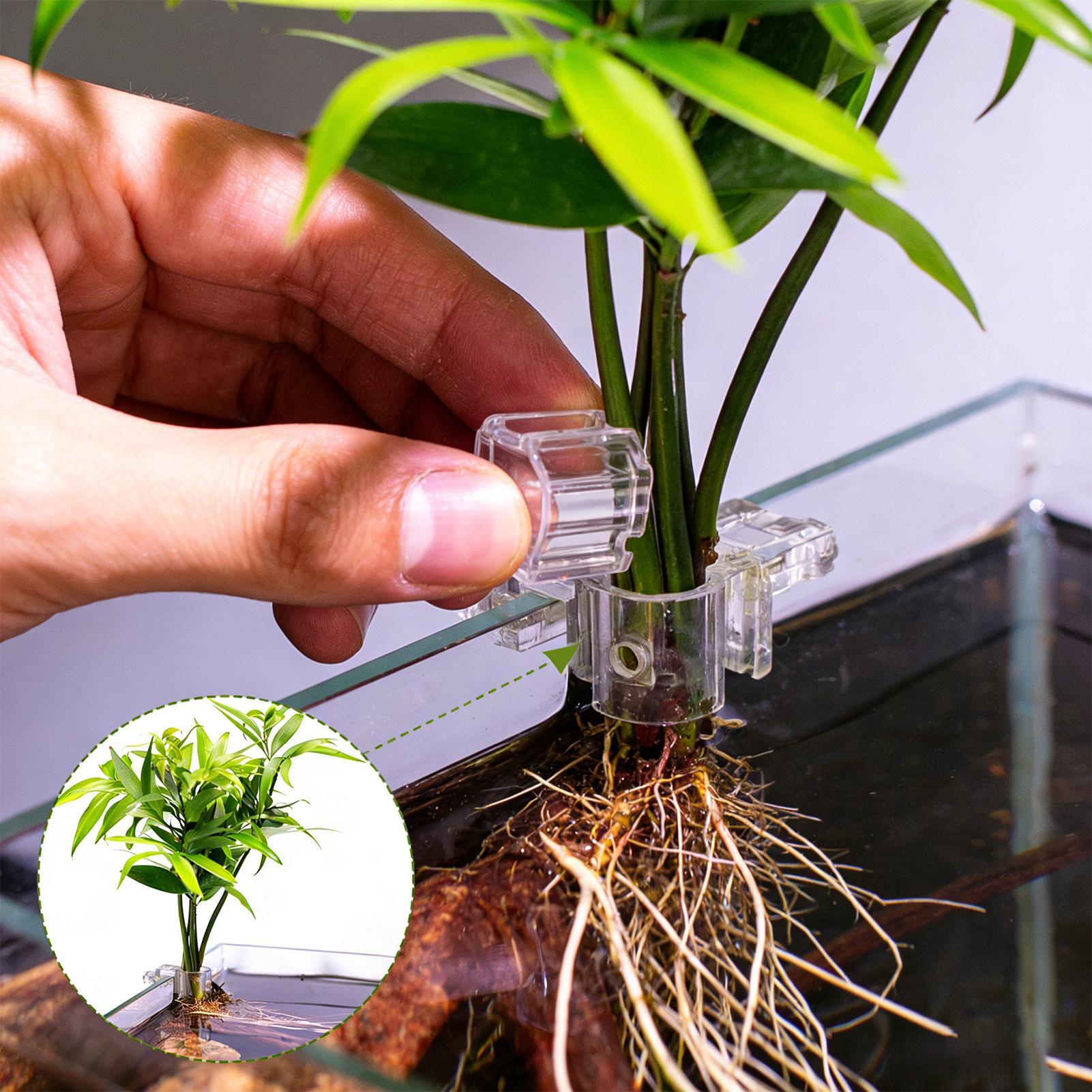 Aquarium Plant Diseases - Mini Fish Tank Planter Pot 6Pcs