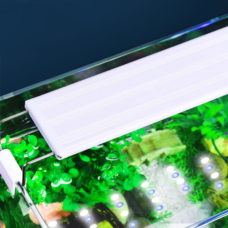 Aquarium Plant Diseases - Super Bright Lamp LED Aquarium Light