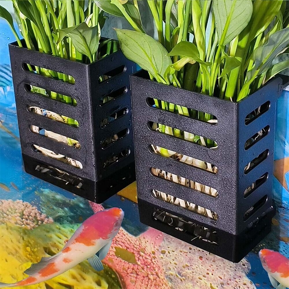 Water Plant Landscape Aquarium - огляд і ціна Emersed Plants Aquarium