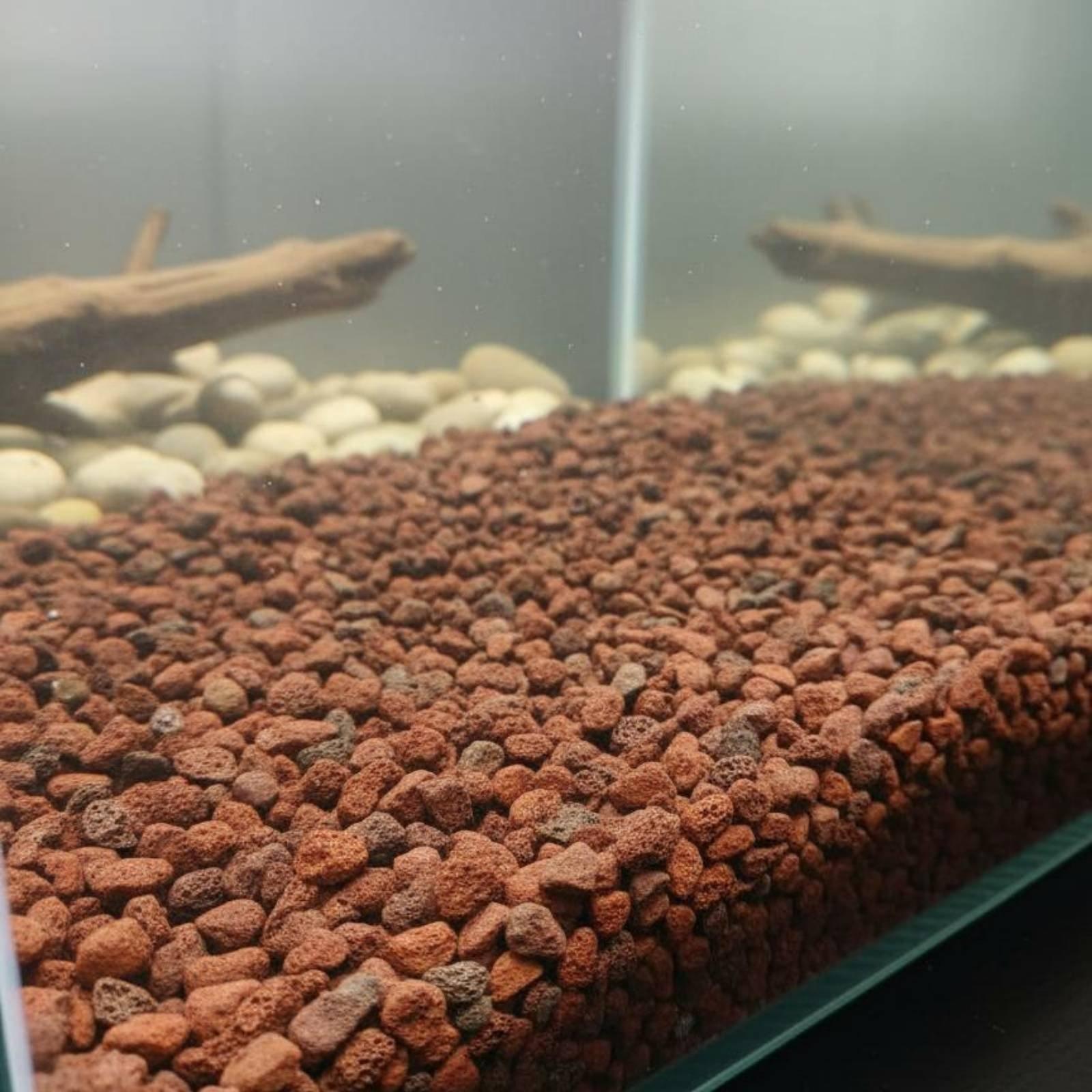 Fish Tank Lava Rock Decor Natu - огляд і ціна Planted Aquarium With Rocks