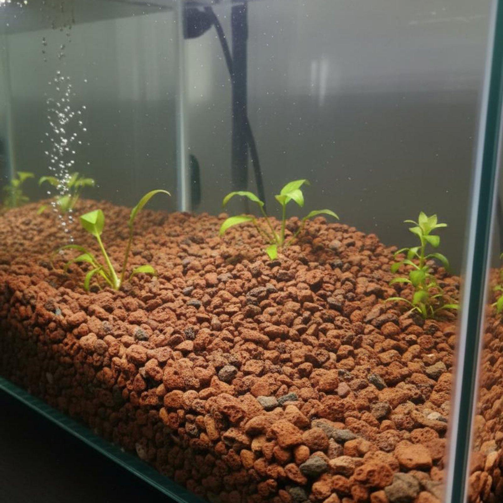 Fish Tank Lava Rock Decor Natu - огляд і ціна Planted Aquarium With Rocks