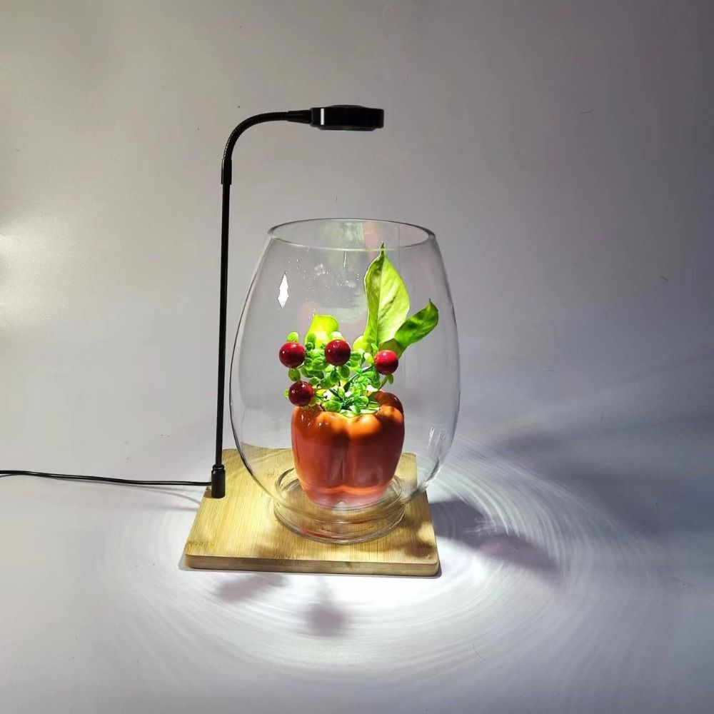 10W Aquarium Plant Fill Lamp w - огляд і ціна Aquarium Plant On Wood