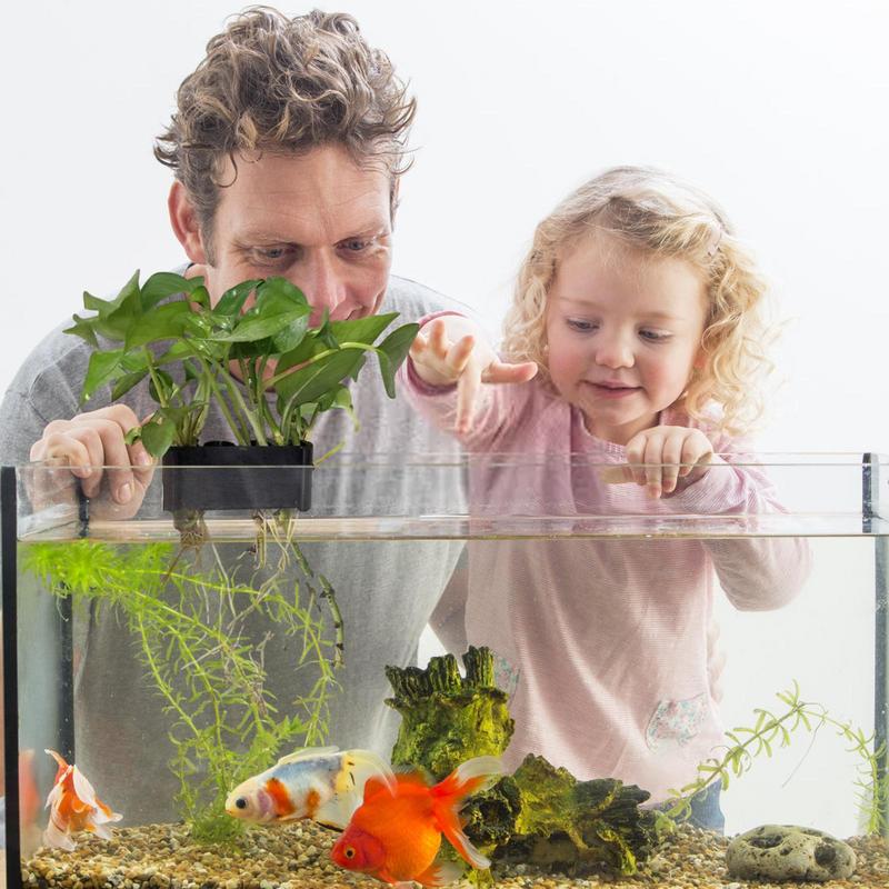 Hanging Aquarium Plant Holder  - огляд і ціна Emersed Plants Aquarium