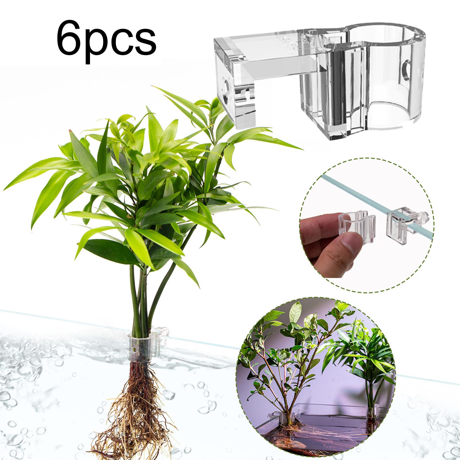 Transparent Aquarium Plant Hol - огляд і ціна Aquarium Planted Set Up