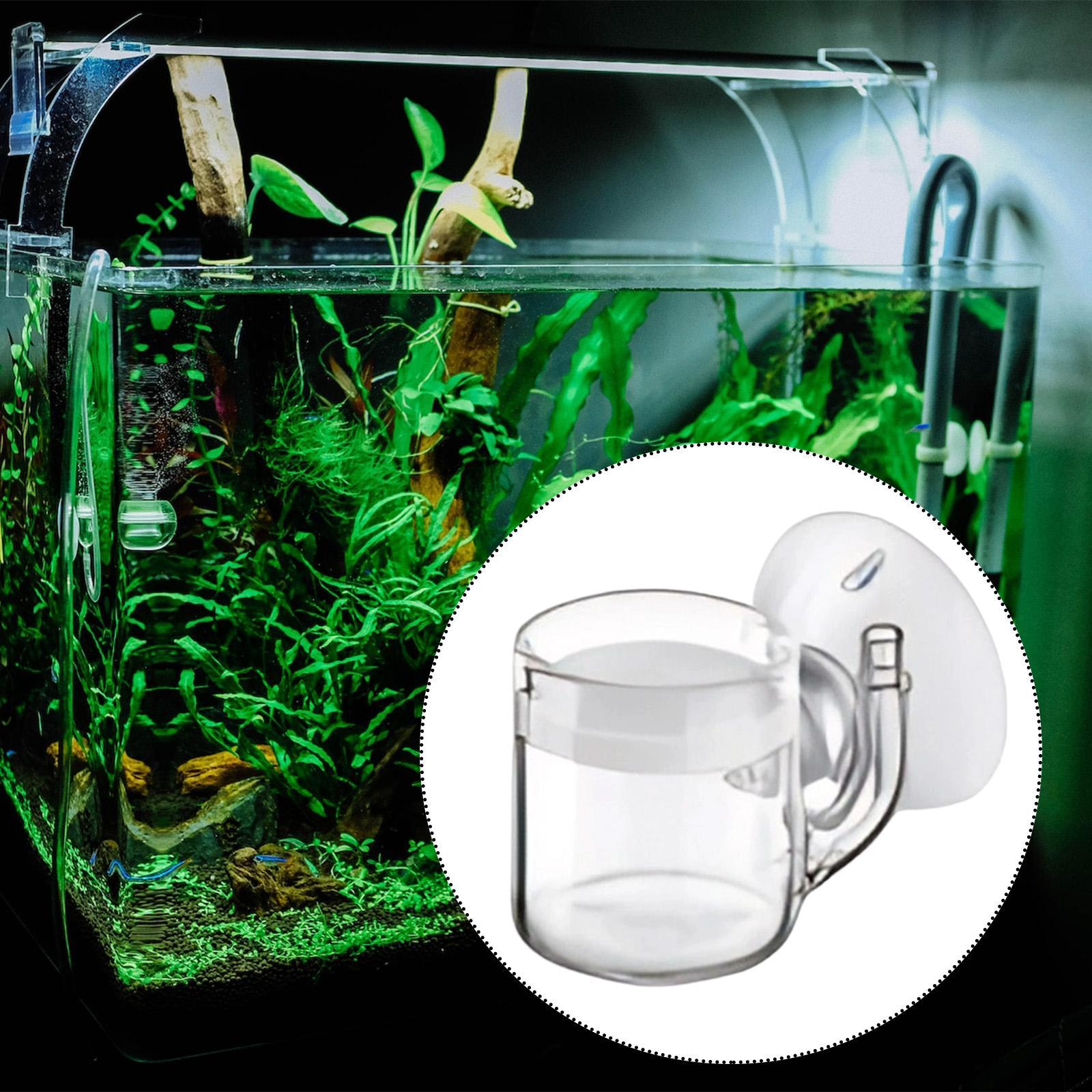 CO2 Aquarium Diffuser Glass Ma - огляд і ціна Aquarium Planted Set Up