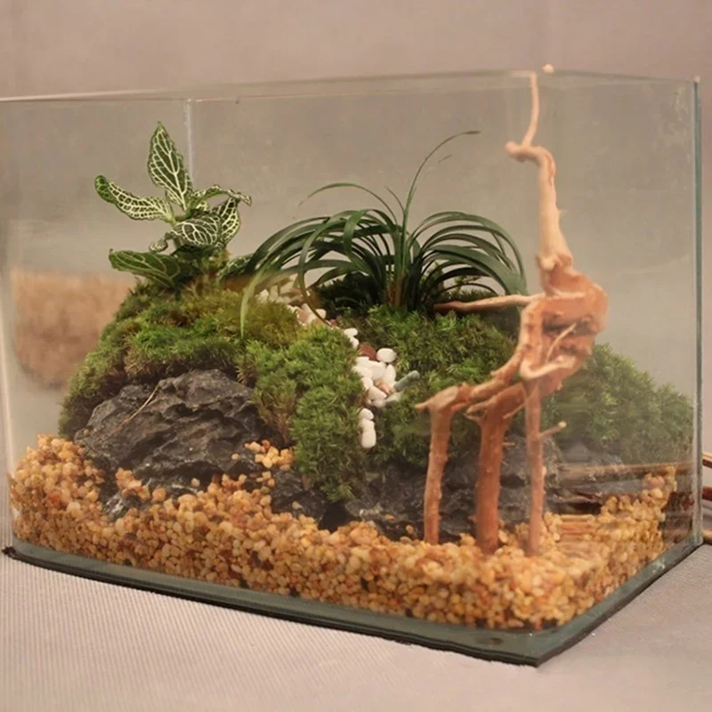 Natural Tree Trunk Driftwood A - огляд і ціна Aquarium Planted Wood