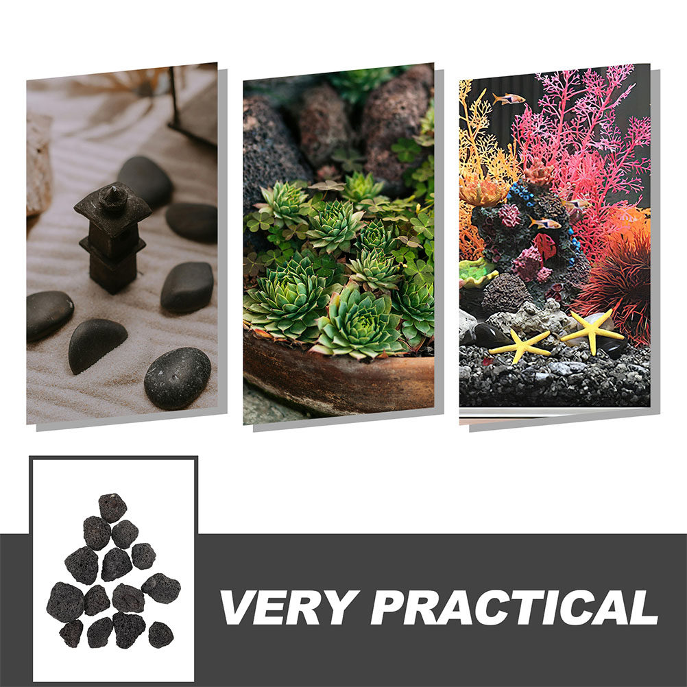1 Bag Volcanic Rocks Small Nat - огляд і ціна Planted Aquarium With Rocks