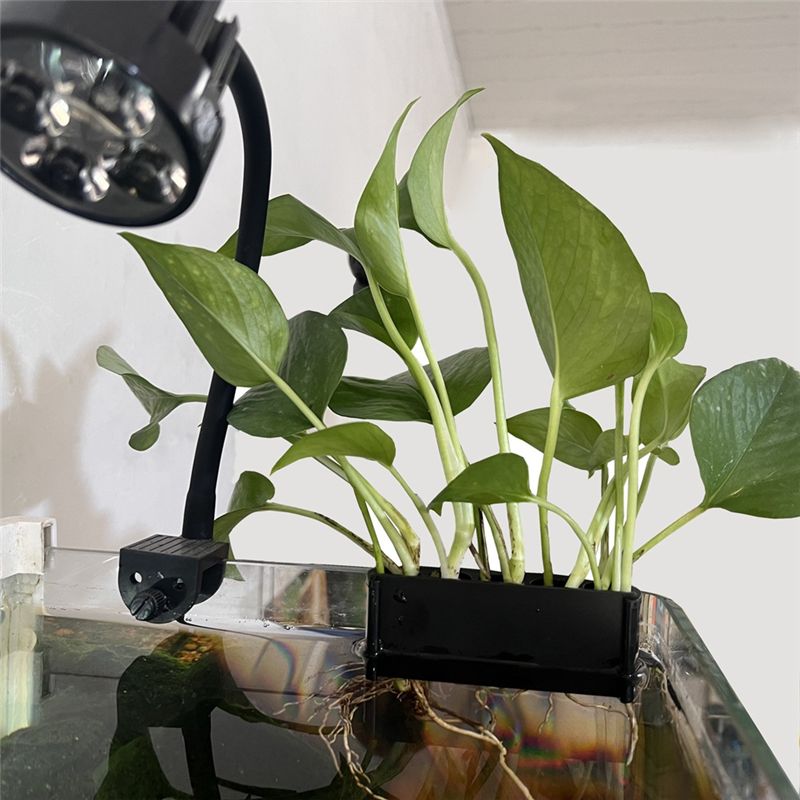 ABUN 2PCS Aquarium Plant Holde - огляд і ціна Emersed Plants Aquarium