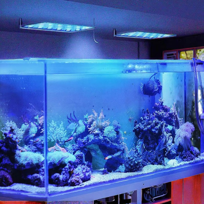 165W Dimmable WiFi APP Control - огляд і ціна Planted Aquarium Models