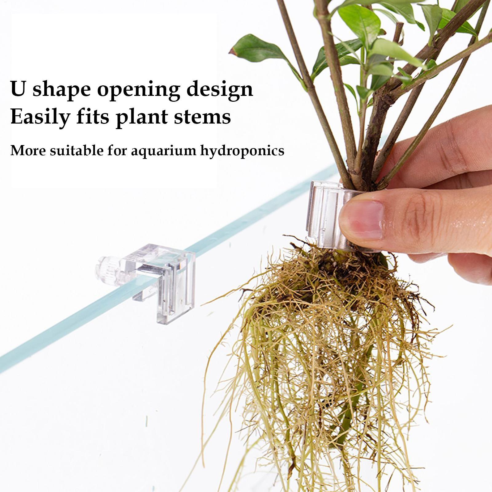 Mini Fish Tank Planter Pot 6Pc - огляд і ціна Aquarium Plant Diseases