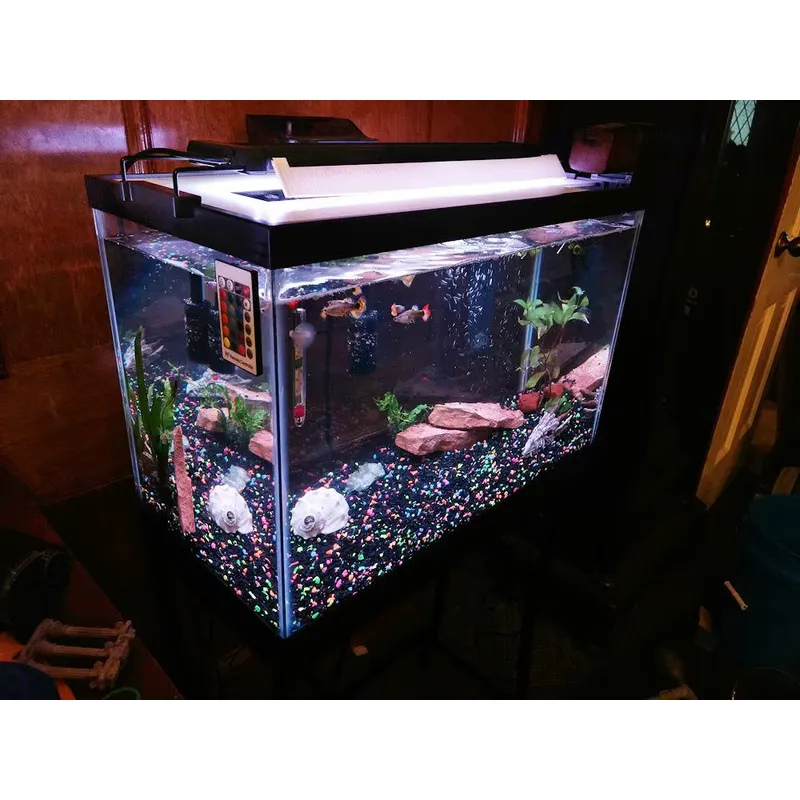 GAKO Model 11W ZJL-60A Hot Sel - огляд і ціна Planted Aquarium Models