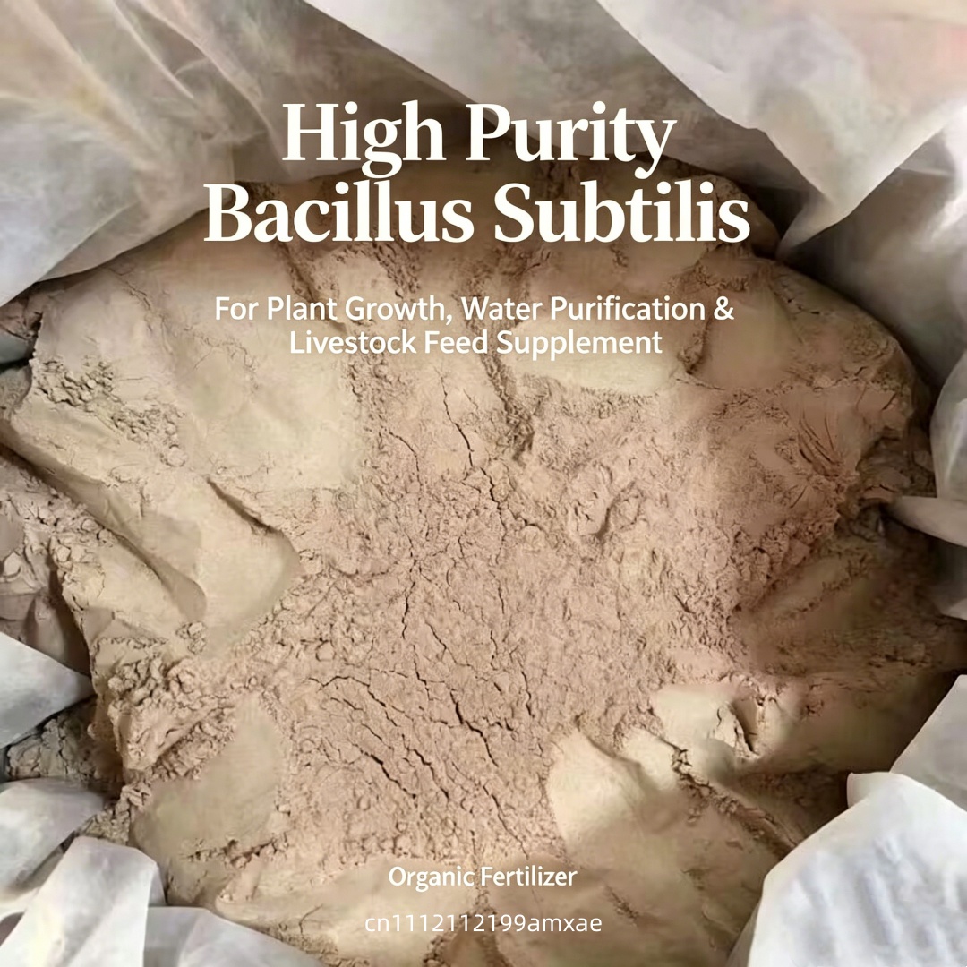 High Activity Bacillus Subtili - огляд і ціна Aquarium Plant Diseases