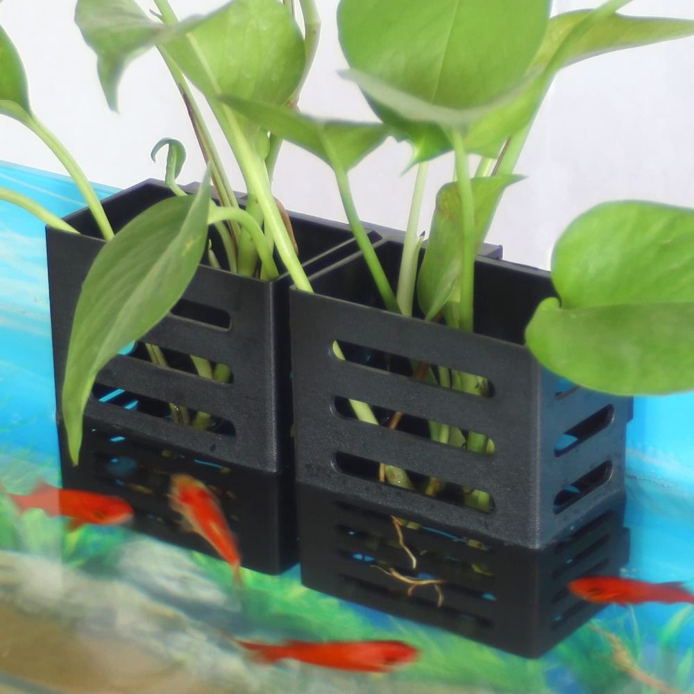 Hydroponic Aquarium Glass Plan - огляд і ціна Emersed Plants Aquarium