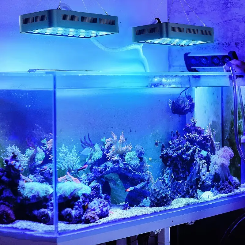Wifi APP Control Coral Reef 16 - огляд і ціна Planted Aquarium Models