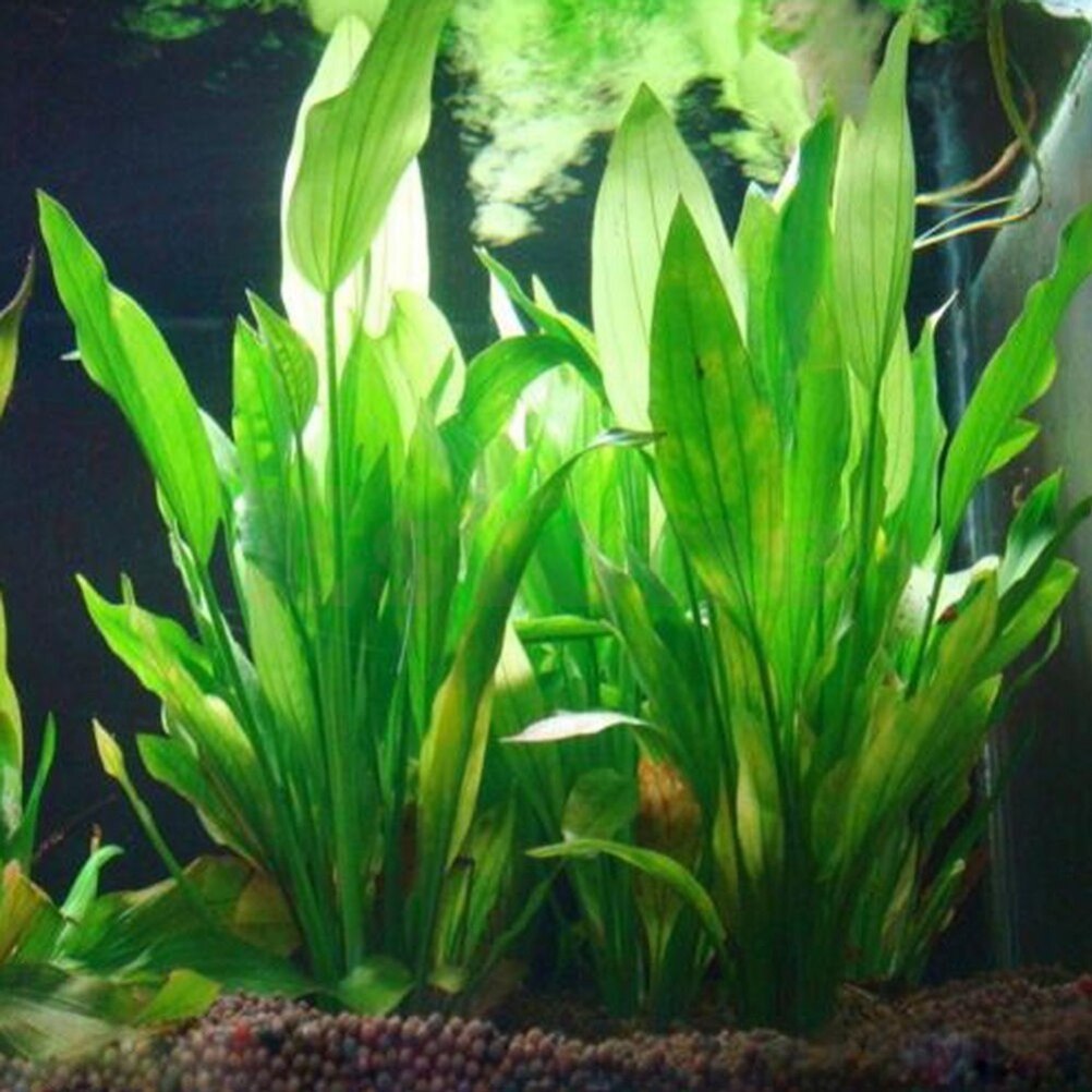 15cm Artificial Aquarium Decor - огляд і ціна Aquarium Plant Design