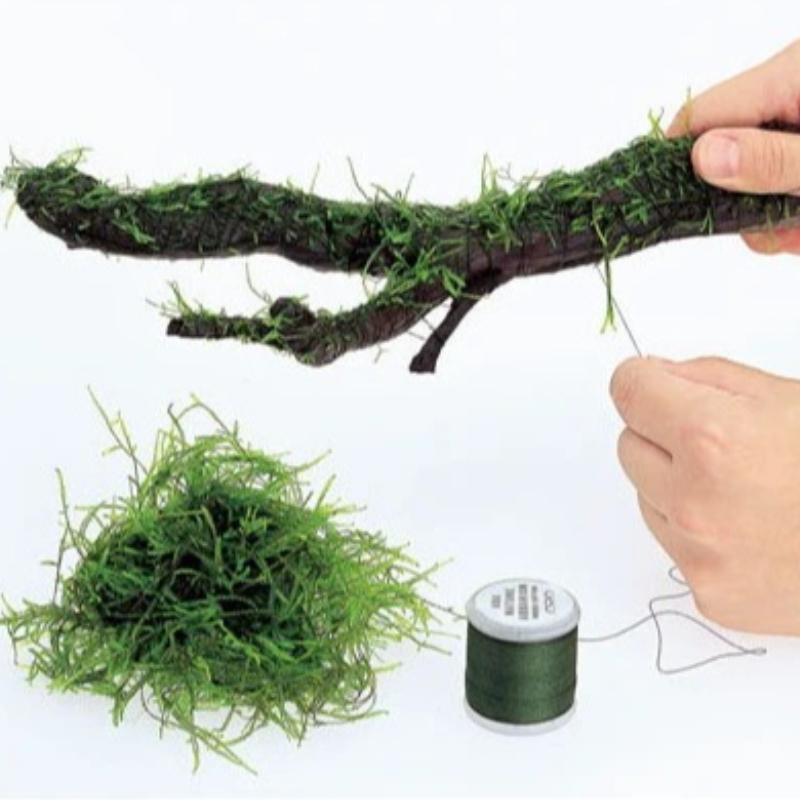 Biodegradable Aquarium Moss Th - огляд і ціна Planted Aquarium With Rocks