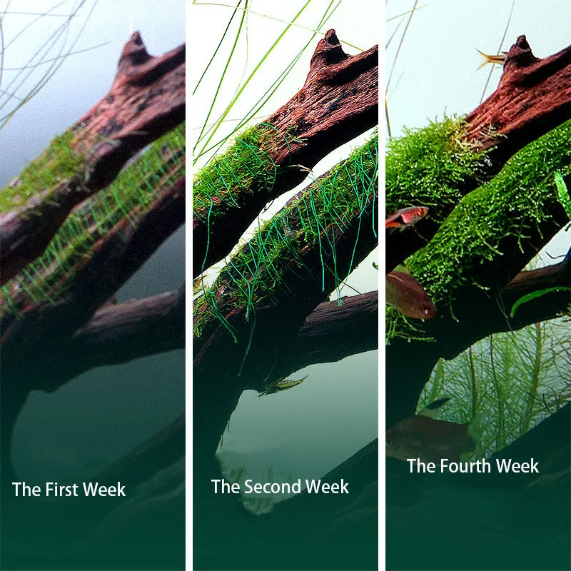 Biodegradable Aquarium Moss Th - огляд і ціна Planted Aquarium With Rocks