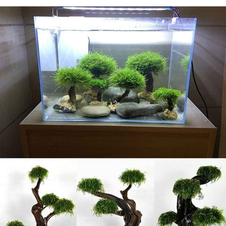 Fish tank greening wood frame  - огляд і ціна Aquarium Planted Wood