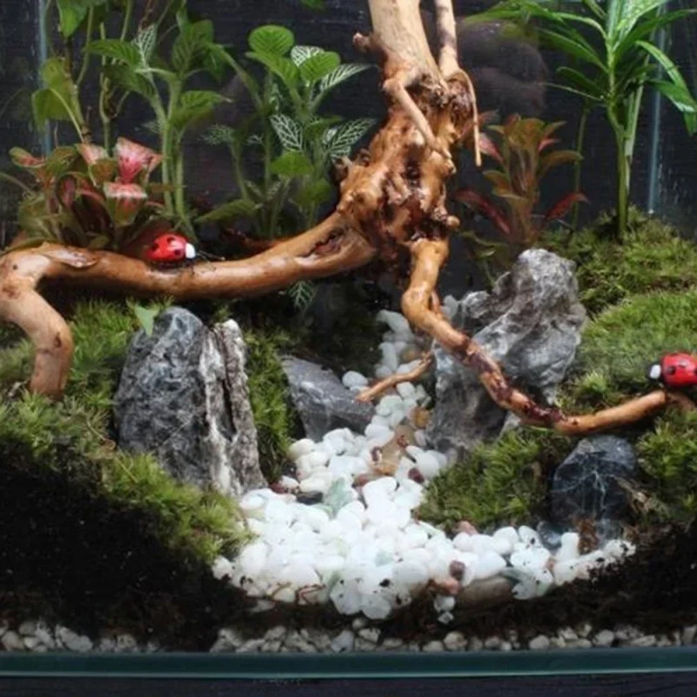 Natural Driftwood Aquarium Dec - огляд і ціна Aquarium Planted Wood