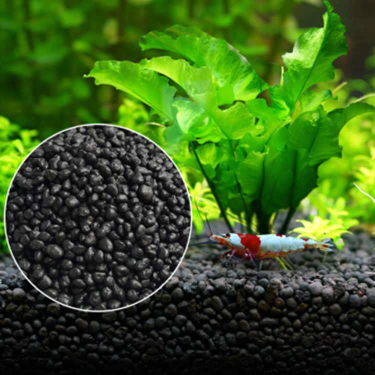 Aquarium Plant Seeds Soil Fish - огляд і ціна Aquarium Plant Diseases