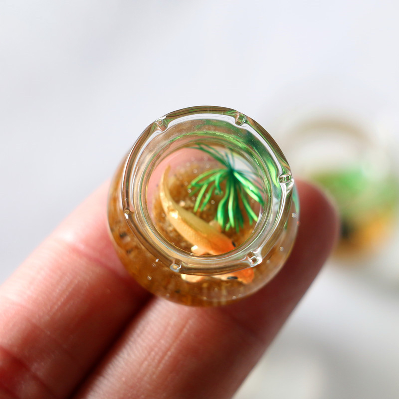 1Pc 1:12 Mini DollHouse Simula - огляд і ціна Planted Aquarium Models