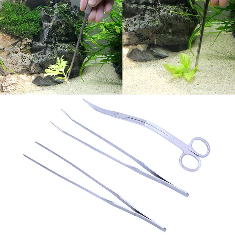 Professional Aquarium Maintena - огляд і ціна Planted Aquarium Models