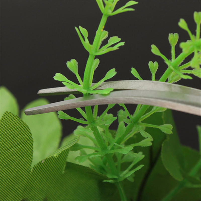 Professional Aquarium Maintena - огляд і ціна Planted Aquarium Models