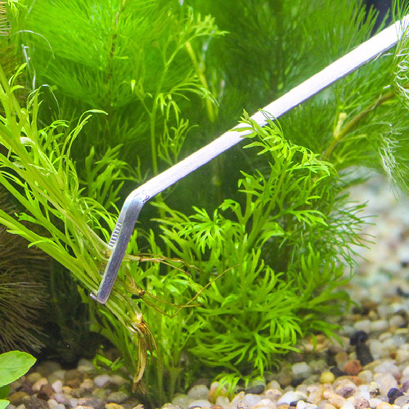 Professional Aquarium Maintena - огляд і ціна Planted Aquarium Models