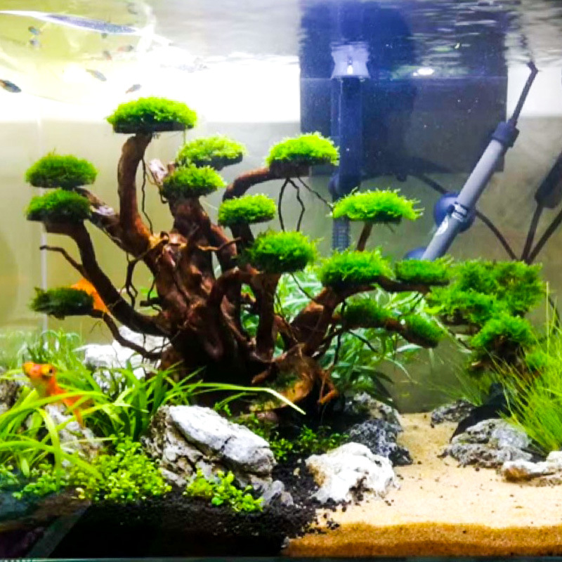 Aquarium Landscaping Moss Tree - огляд і ціна Aquarium Planted Wood