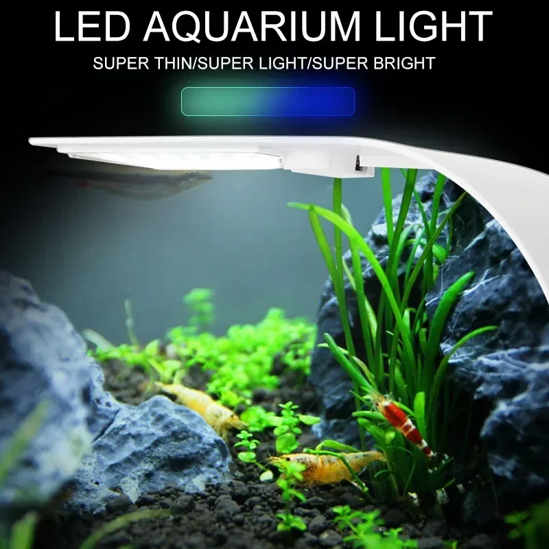 Ultra Thin LED Aquarium Light  - огляд і ціна Aquarium Plant Diseases