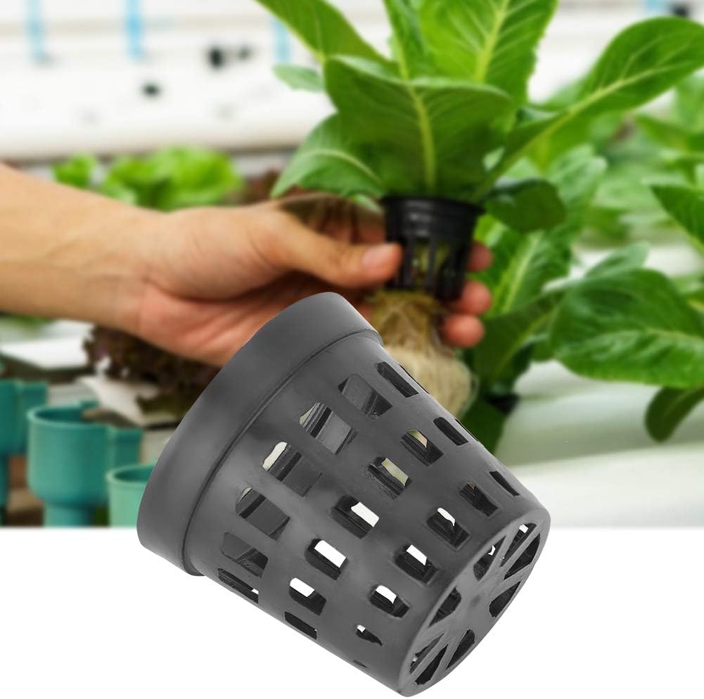 Hydroponic Mesh Pot Vegetable  - огляд і ціна Aquarium Plant Diseases