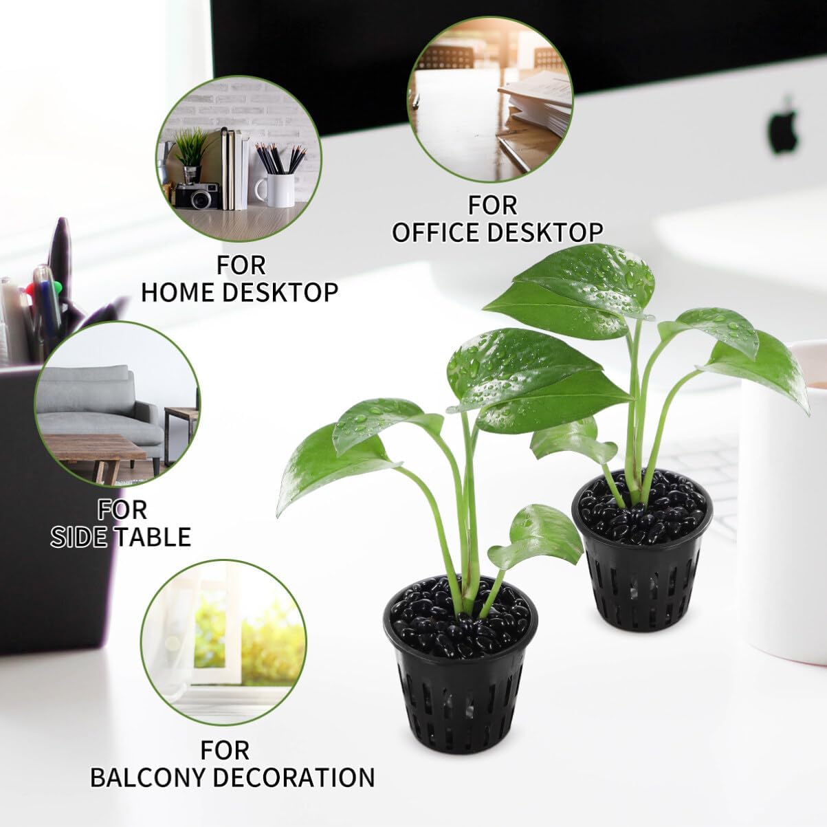 Hydroponic Mesh Pot Vegetable  - огляд і ціна Aquarium Plant Diseases
