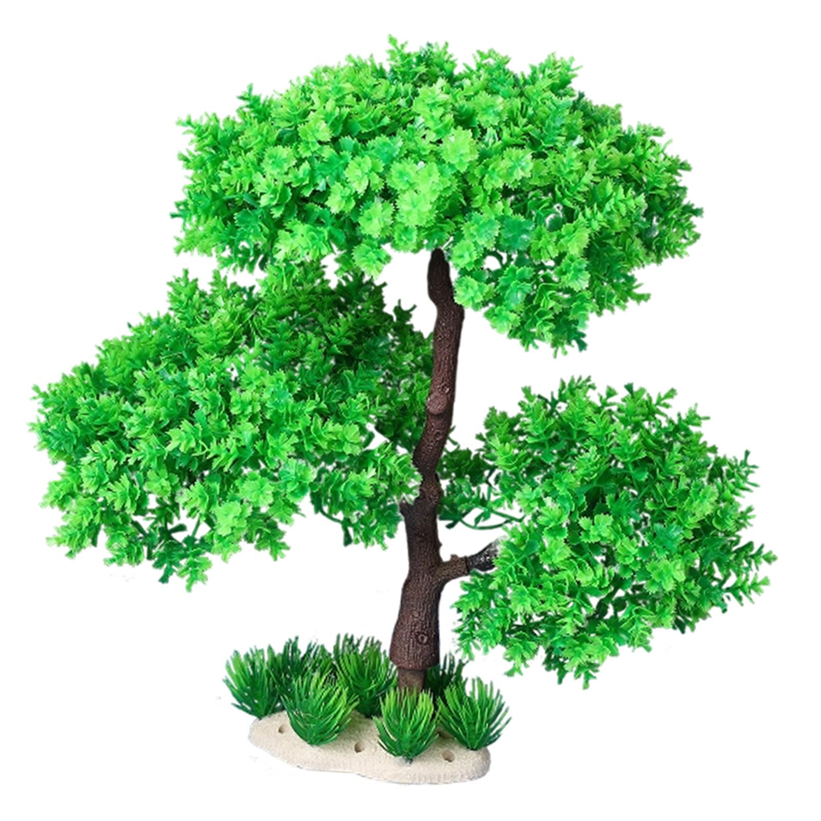 Aquarium Plants for Freshwater - огляд і ціна Planted Aquarium Models