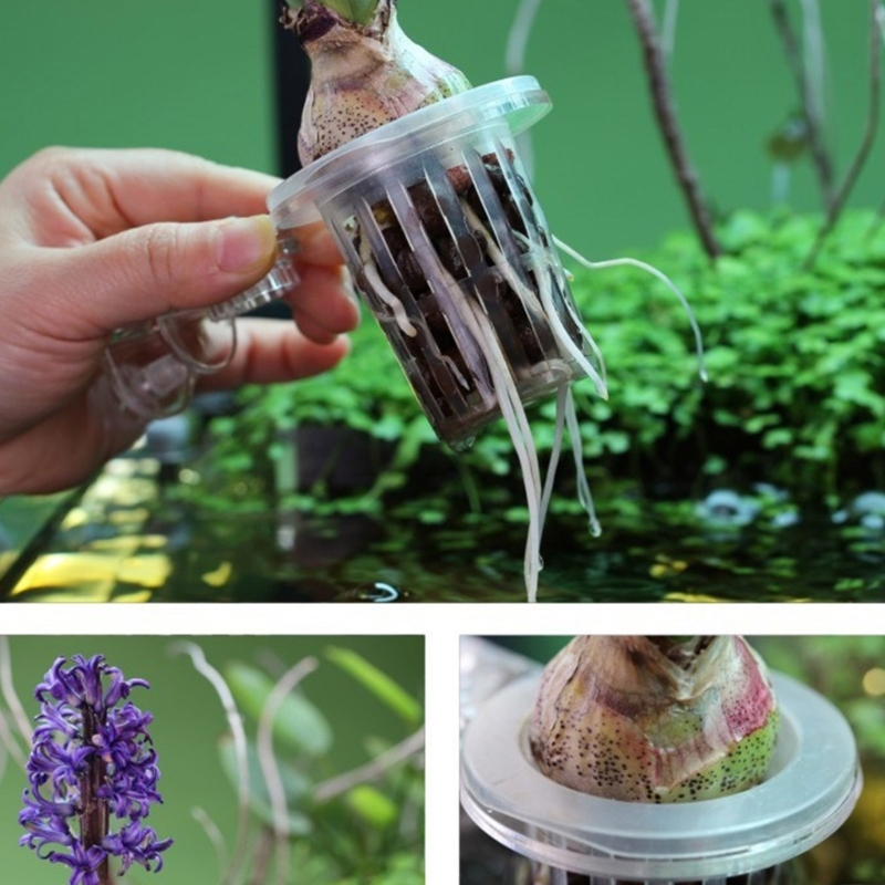 Aquariums Plant Stand Plant Cu - огляд і ціна Emersed Plants Aquarium