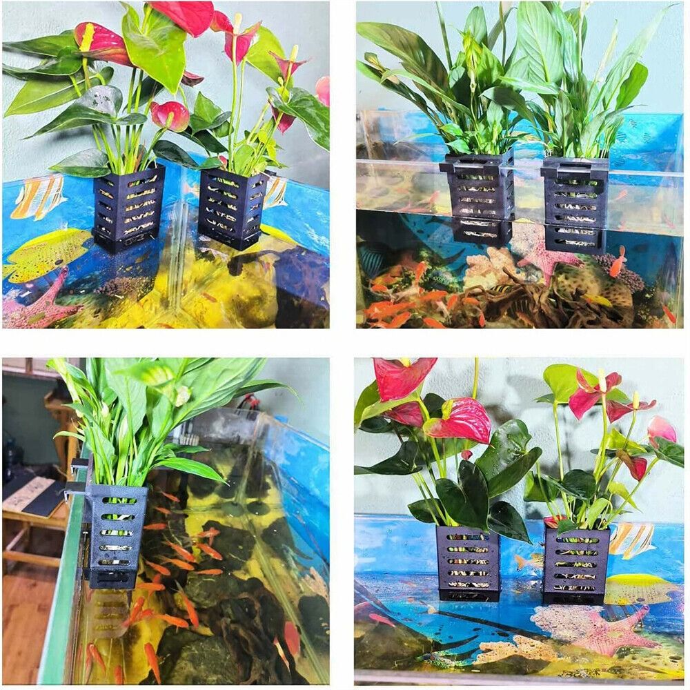 Water Plant Landscape Aquarium - огляд і ціна Emersed Plants Aquarium