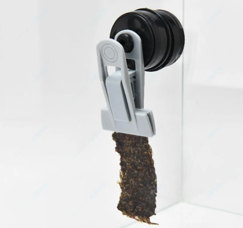 VastOcean Veggie-Mag Feeding C - огляд і ціна Aquarium Plant Diseases